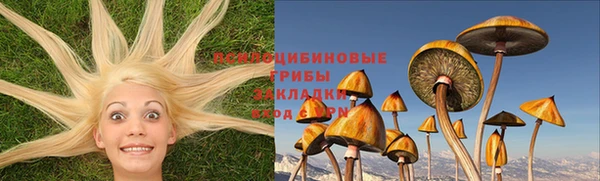 COCAINE Белокуриха