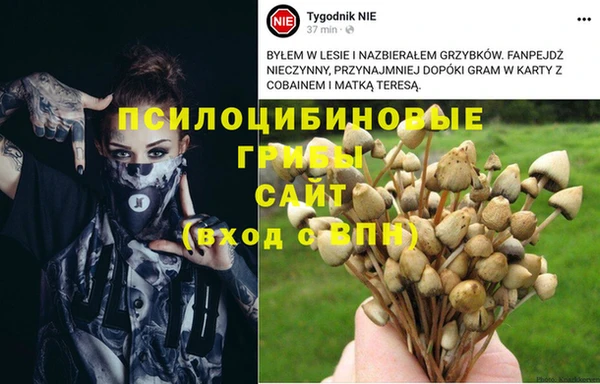 COCAINE Белокуриха