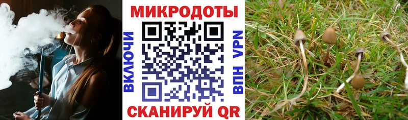 Псилоцибиновые грибы GOLDEN TEACHER  Малая Вишера 